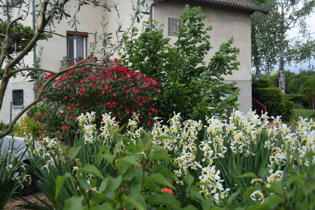 Le Nid De L'Ecureuil Bed and Breakfast Brens  Eksteriør billede